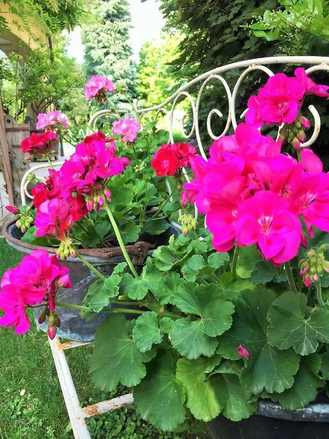 La Casa Di Gabri Bed and Breakfast Iseo 3*,  Italia